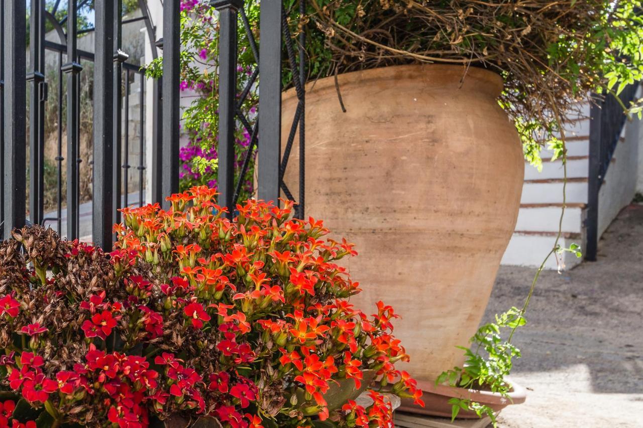 Casa Luna - 16Th Century Traditional Spanish Village House Pinos del Valle Exterior foto